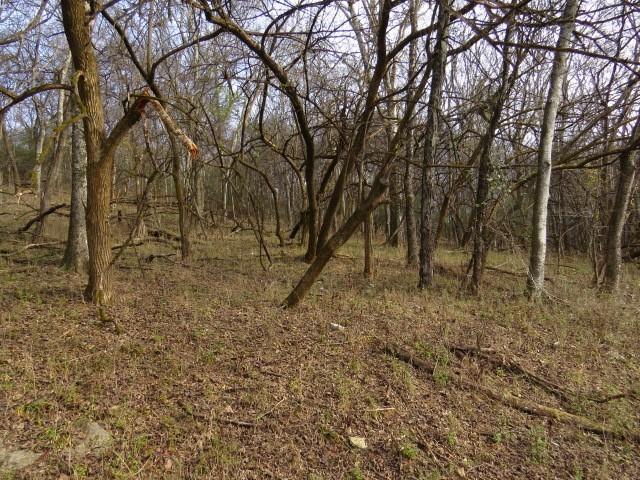958 Dollar Hollow Rd, Pulaski, TN 38478
