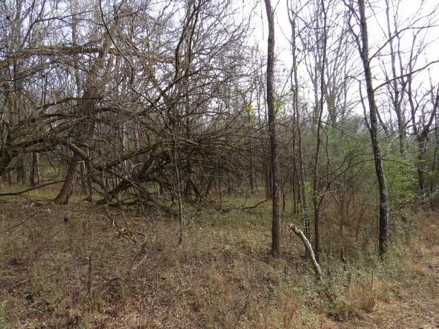 958 Dollar Hollow Rd, Pulaski, TN 38478