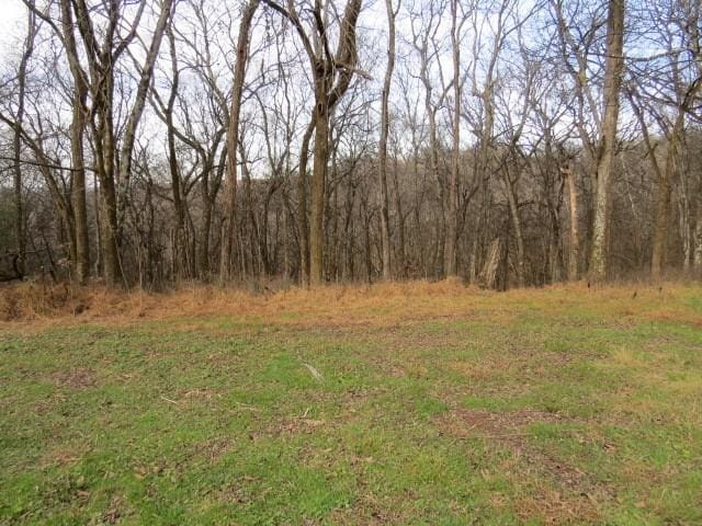 958 Dollar Hollow Rd, Pulaski, TN 38478