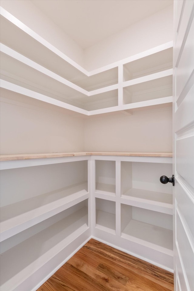 6816 Springwater St, Smyrna, TN 37167 - view of pantry