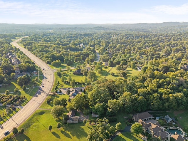 bird's eye view