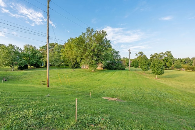 view of yard