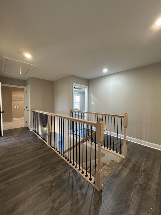 hallway featuring dark wood-type flooring