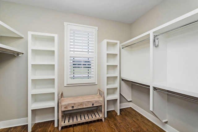 walk in closet with dark hardwood / wood-style flooring