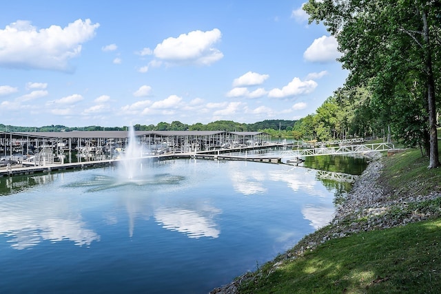 property view of water