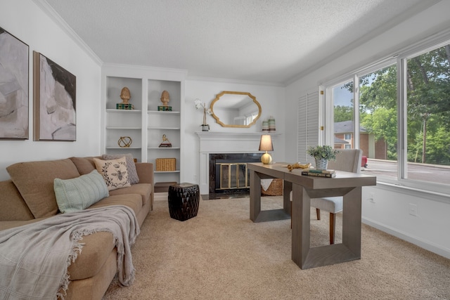 living room featuring light carpet, a textured ceiling, and ornamental molding