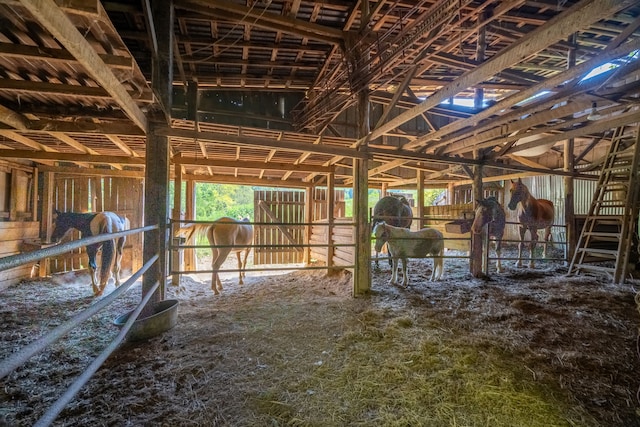 view of horse barn