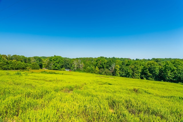 view of landscape with a rural view