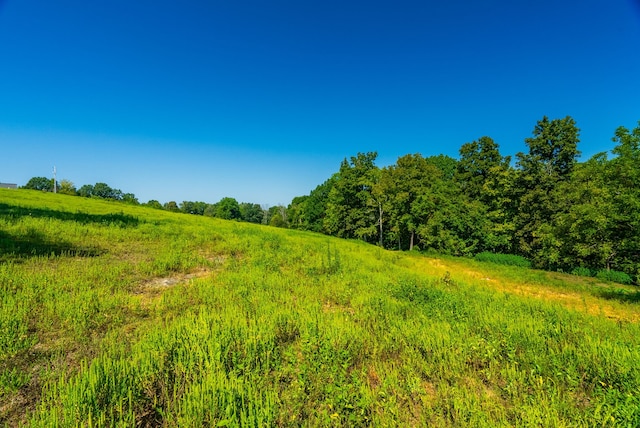 view of local wilderness with a rural view