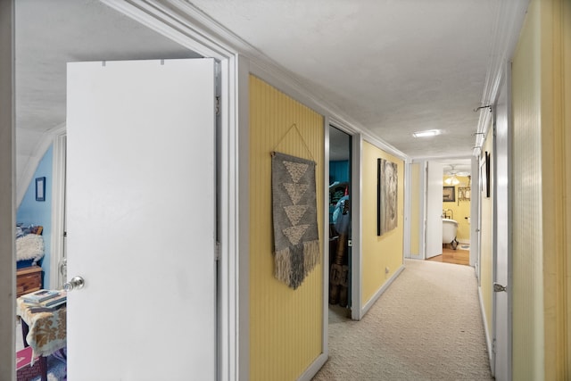 hall with carpet and crown molding