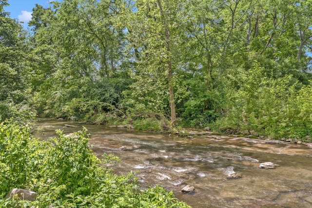 505 Tappan Ln, Gallatin, TN 37066 - view of nature