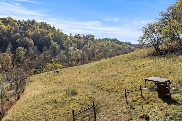 view of yard featuring a rural view