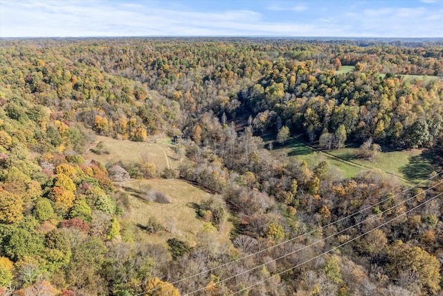 bird's eye view