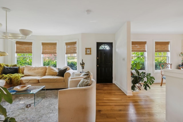 living room with baseboards, wood finished floors, and a healthy amount of sunlight