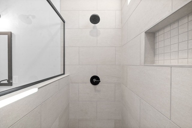 room details with tiled shower