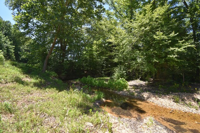 view of local wilderness