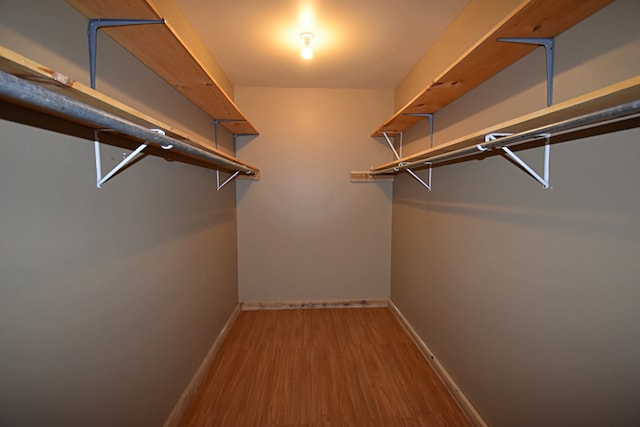 walk in closet featuring wood-type flooring