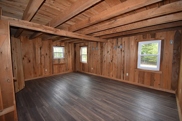 unfurnished room with beam ceiling, wooden walls, a wealth of natural light, and dark hardwood / wood-style flooring