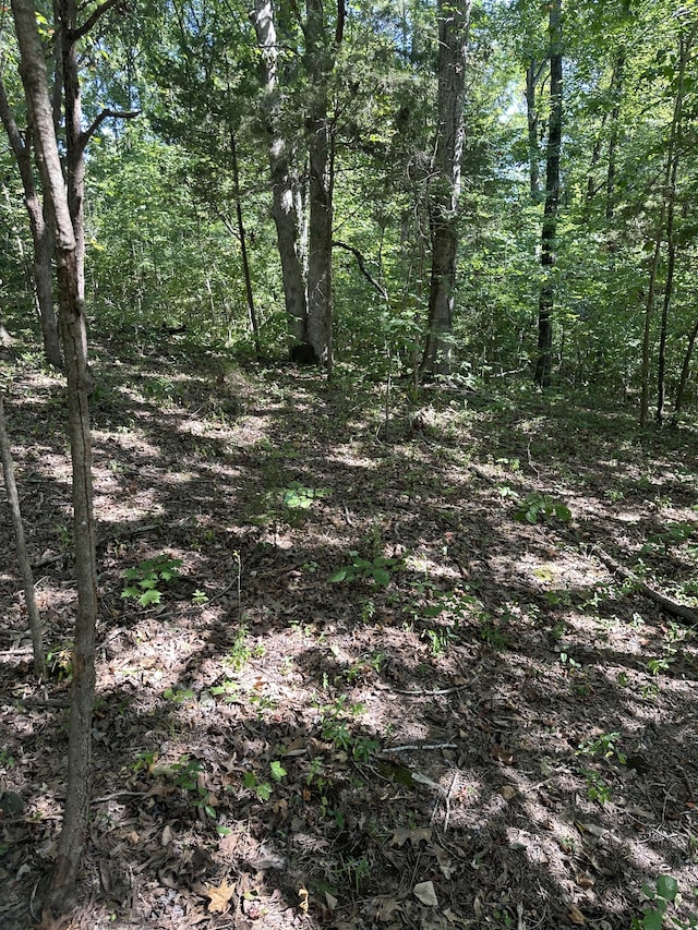 0 Lee Ln, Big Rock TN, 37023 land for sale