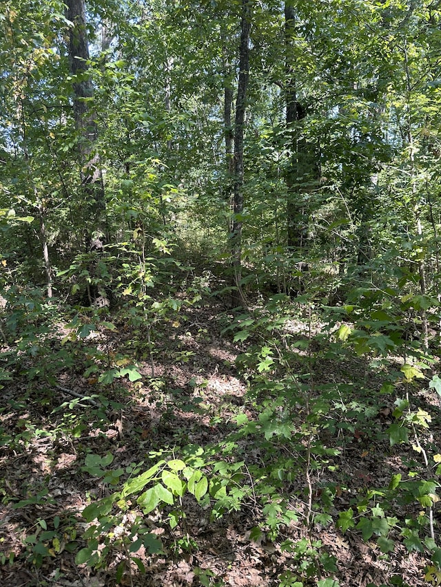 Listing photo 3 for 0 Lee Ln, Big Rock TN 37023