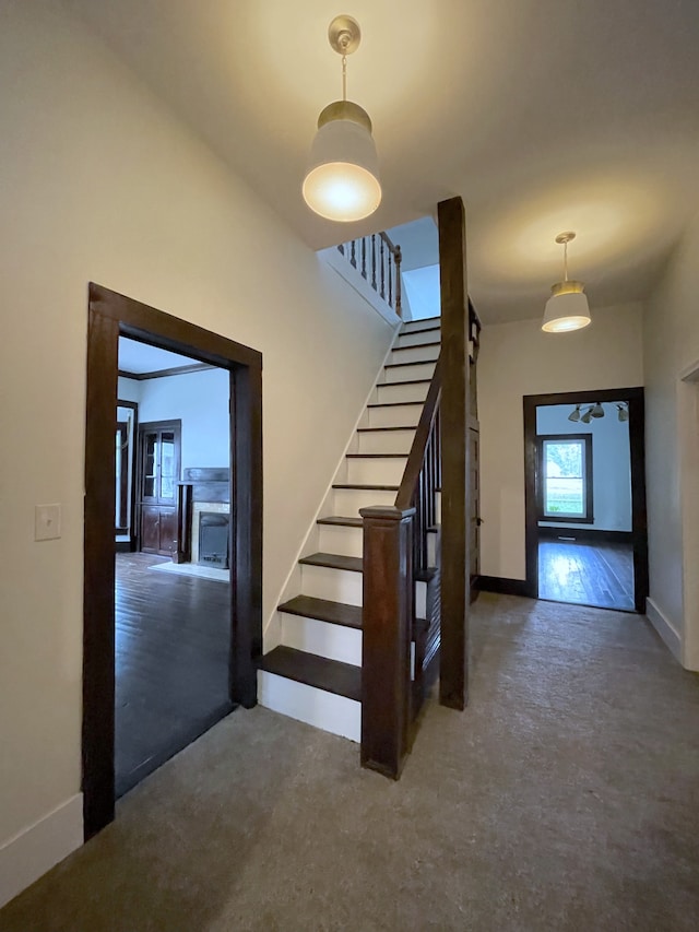 stairway with carpet