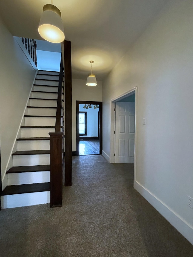 401 College St, Petersburg, TN 37144 - stairs featuring carpet floors and baseboards