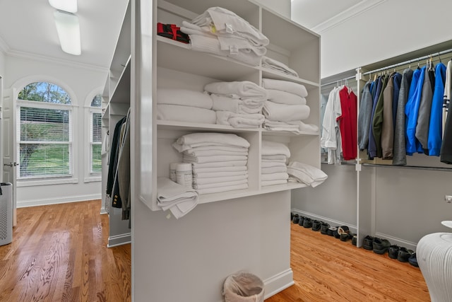 spacious closet with light hardwood / wood-style flooring