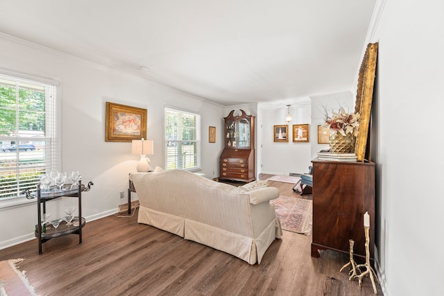 bedroom featuring crown molding and dark hardwood / wood-style flooring