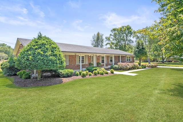 ranch-style home featuring a front lawn