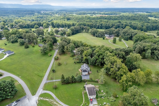 bird's eye view