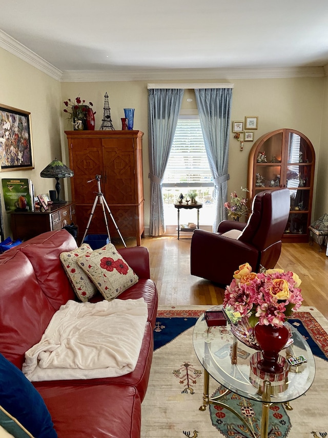 living room featuring light hardwood / wood-style floors and crown molding