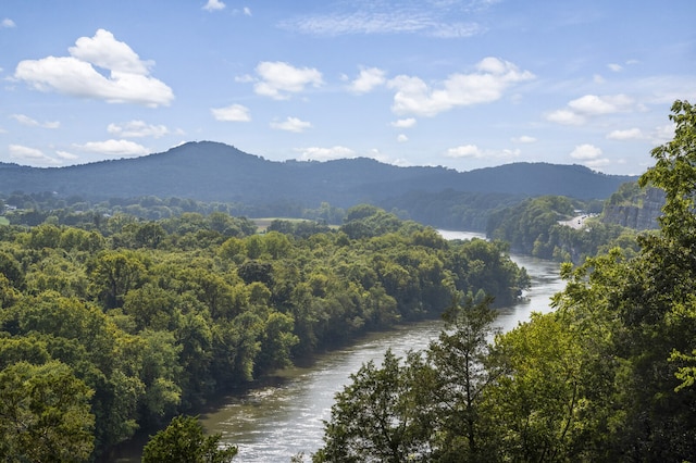 property view of mountains with a water view