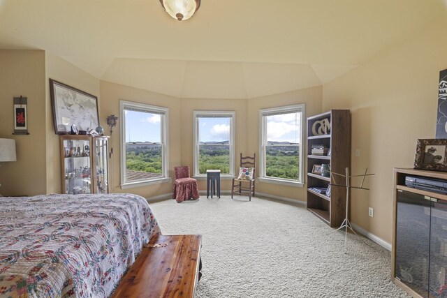 carpeted bedroom with vaulted ceiling