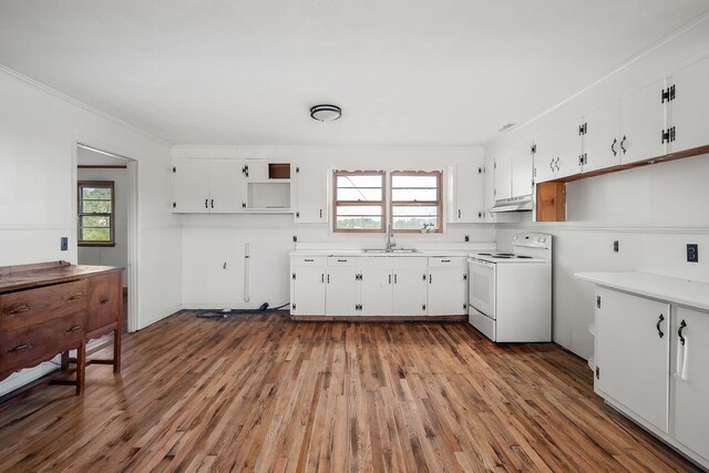 kitchen featuring dark hardwood / wood-style flooring, white electric range, white cabinetry, and a wealth of natural light