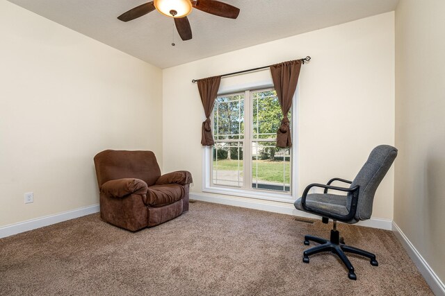 4465 Lavergne Couchville Pike, Antioch, TN 37013 - photo 15