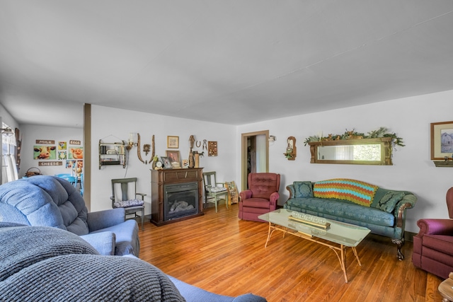 living room with hardwood / wood-style flooring