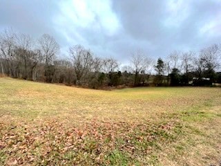 1058 Dawson Rd, White Bluff TN, 37187 land for sale