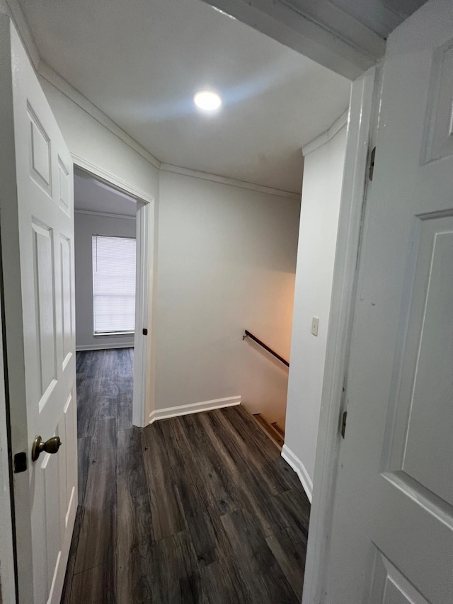 hallway with ornamental molding, baseboards, dark wood finished floors, and an upstairs landing