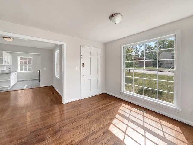 interior space featuring hardwood / wood-style flooring and a healthy amount of sunlight