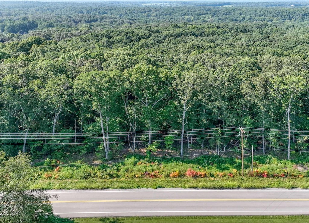 0 Old Cox Pike, Fairview, TN 37062 - photo 4