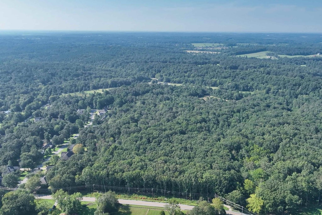 0 Old Cox Pike, Fairview, TN 37062 - photo 2