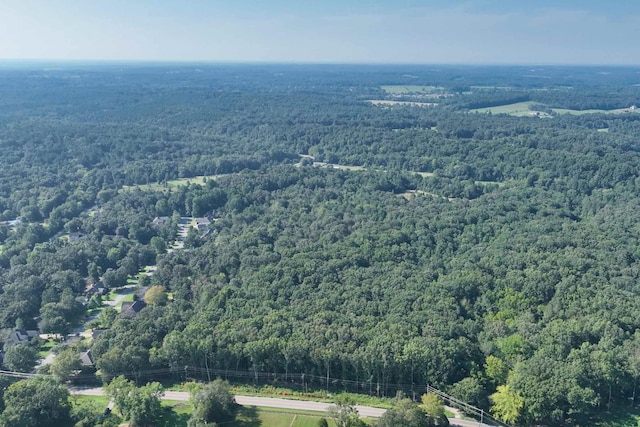 0 Old Cox Pike, Fairview, TN 37062 - photo 2