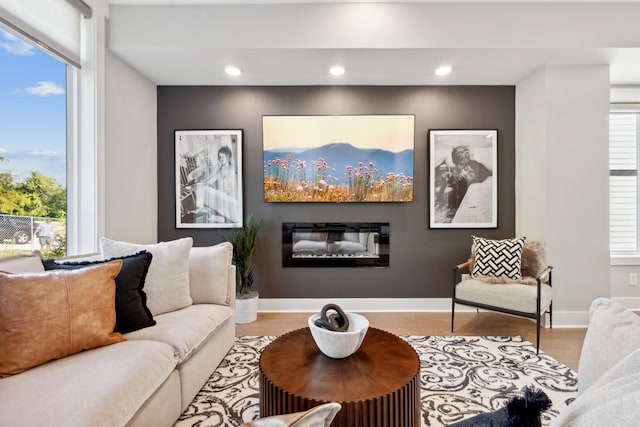 living room featuring light hardwood / wood-style floors and a healthy amount of sunlight