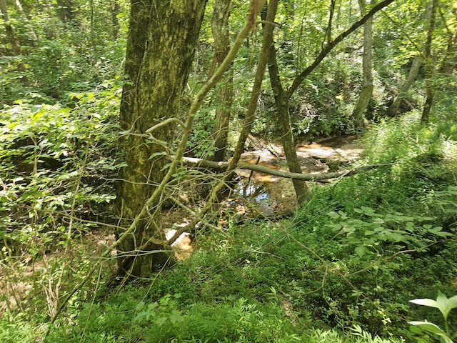 160 Bishop Rd, Middleton, TN 38052