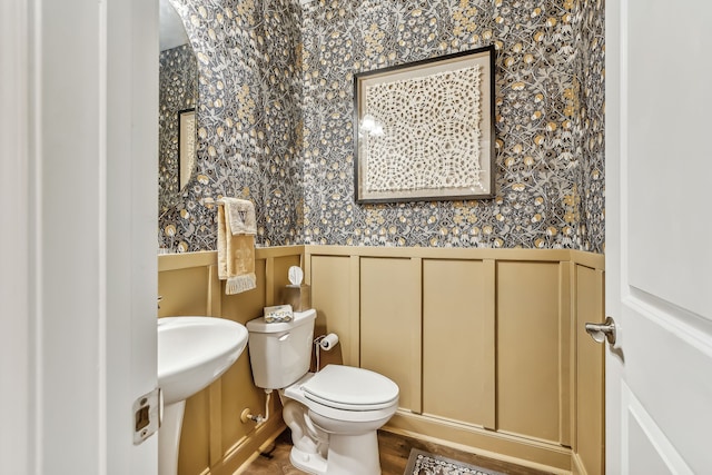 bathroom featuring sink, hardwood / wood-style floors, and toilet