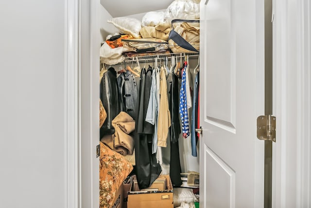 view of closet