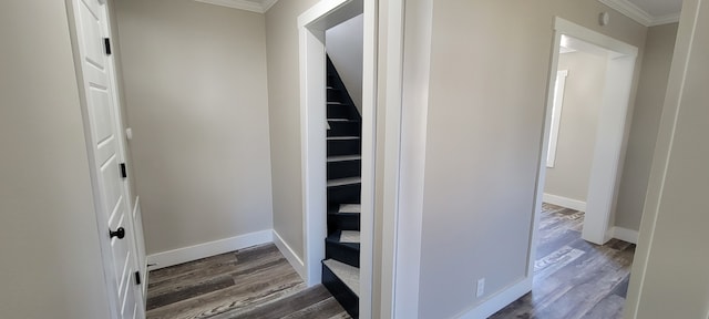 interior space featuring crown molding and wood-type flooring