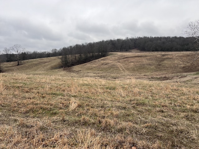 Listing photo 2 for 0 Cedar Bluff Rd, Lebanon TN 37087