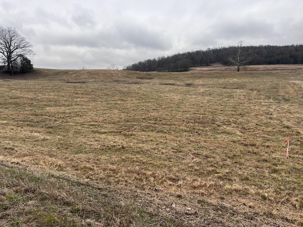 0 Cedar Bluff Rd, Lebanon, TN 37087