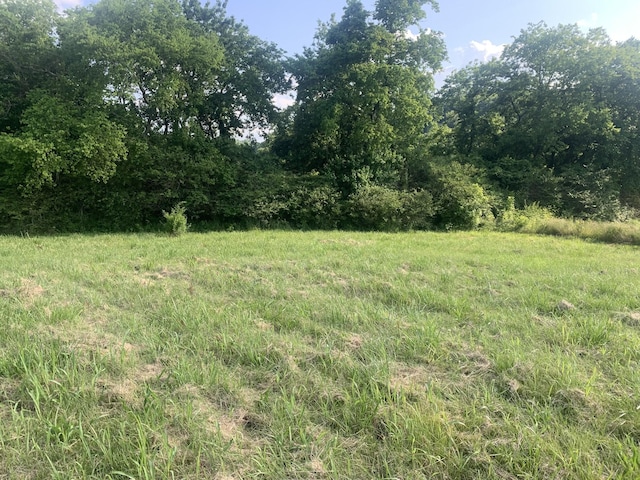 0 Johnson Hill Rd, Mount Pleasant, TN 38474 - photo 3